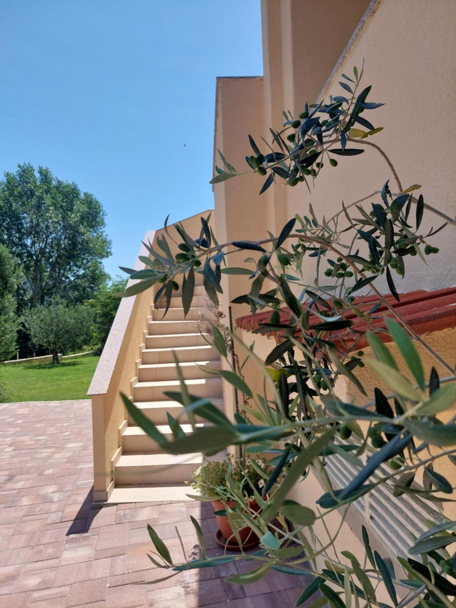 Novouredeni Apartman Marko Mundanije Екстериор снимка